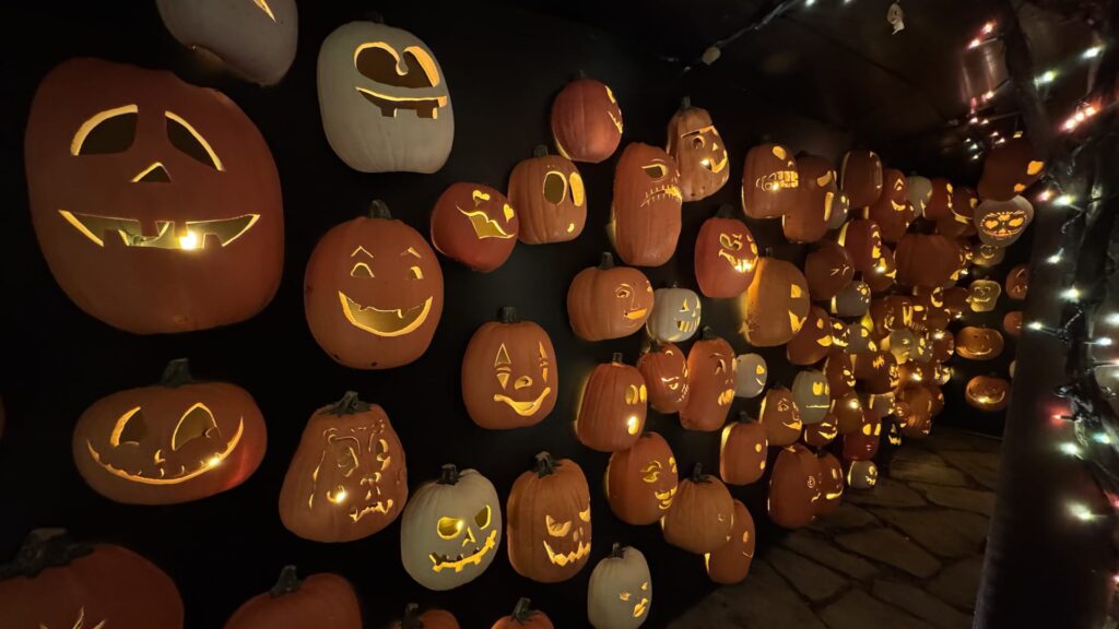 How President Trump’s tariffs on China are affecting Halloween pumpkin prices