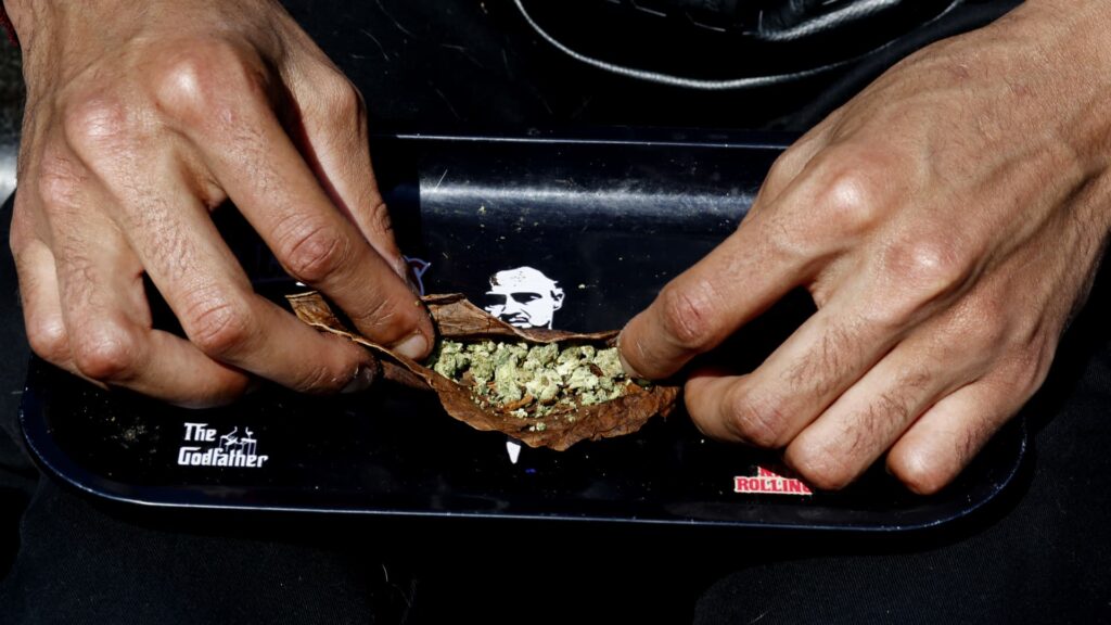 Expectations for cannabis rallies increase due to ‘Trump effect’