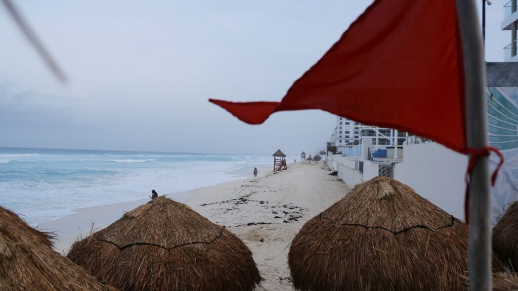 Venture capitalist who backed multi-billion dollar AI company shares two red flags with founder