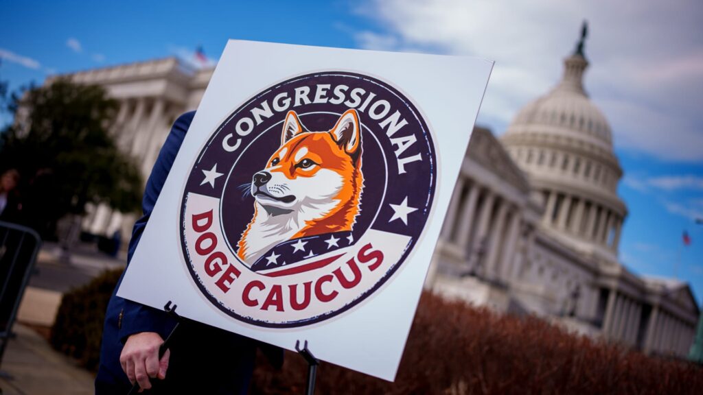 DOGE “non-existent” with 8 months left in charter