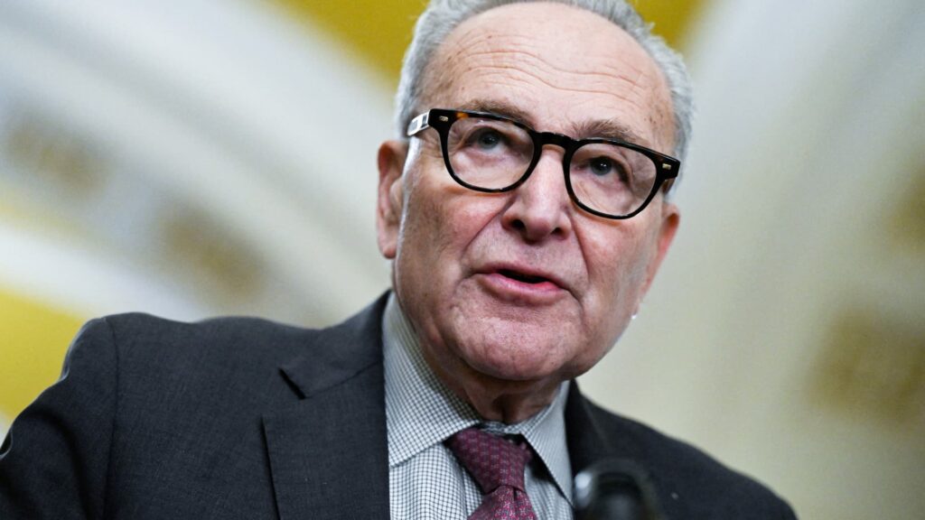 Democratic leader Schumer agrees to end government shutdown