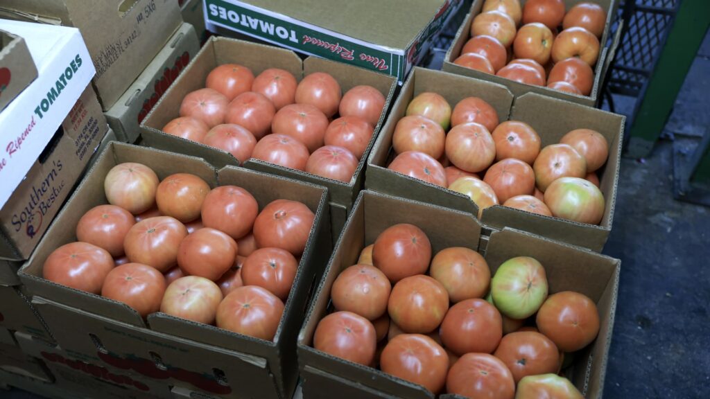 You can change the laws of politics, but you cannot change the laws of economics.