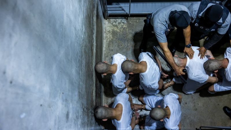 Dozens of Venezuelans were deported from the US to notorious El Salvadoran prisons and tortured, human rights group claims in new report