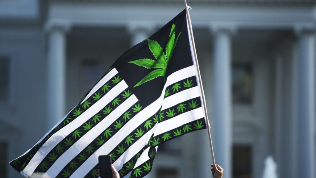 Pot stocks soar as President Trump prepares to ease regulations