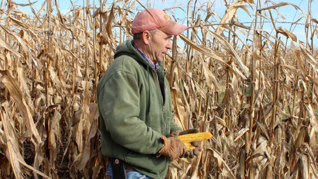 President Trump announces $12 billion aid package for farmers hurt by trade war