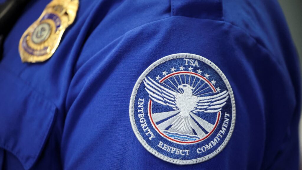 TSA provides airline passenger data to ICE: NYT