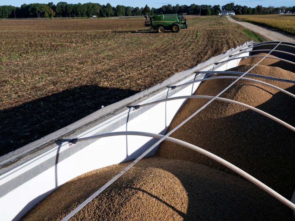 President Trump’s $12 Billion Aid Plan: Are Tariffs Hemorrhaging American Farmers? |Agricultural news