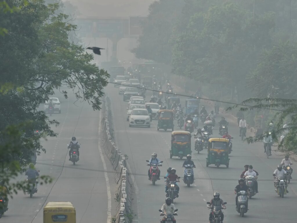 What New Delhi can learn from China’s fight against air pollution | Environment