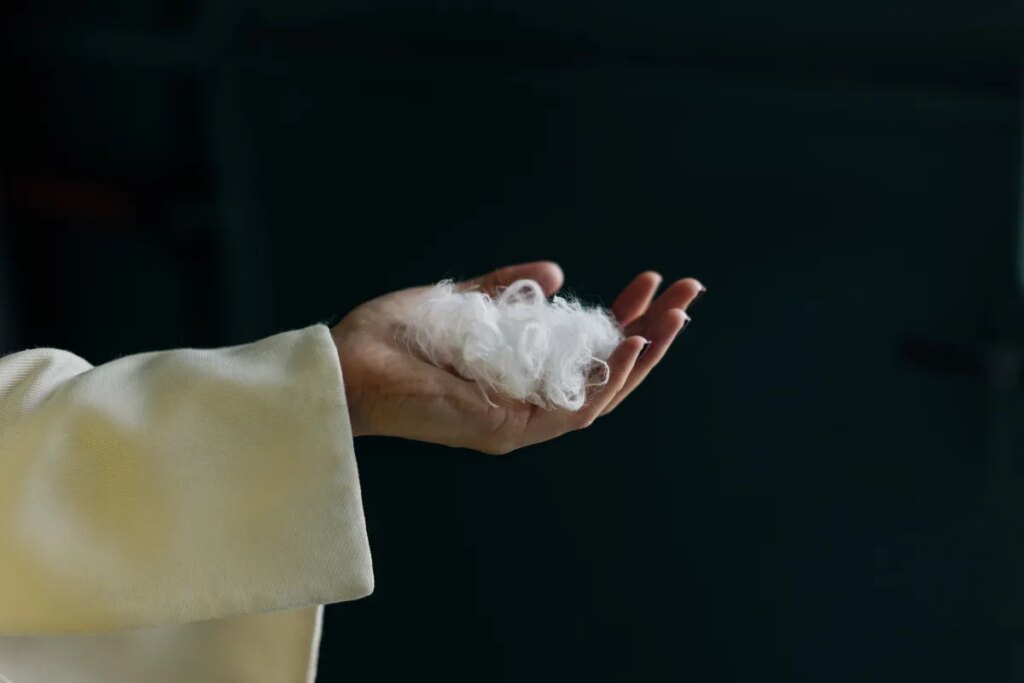 Everbloom built an AI that turns chicken feathers into cashmere