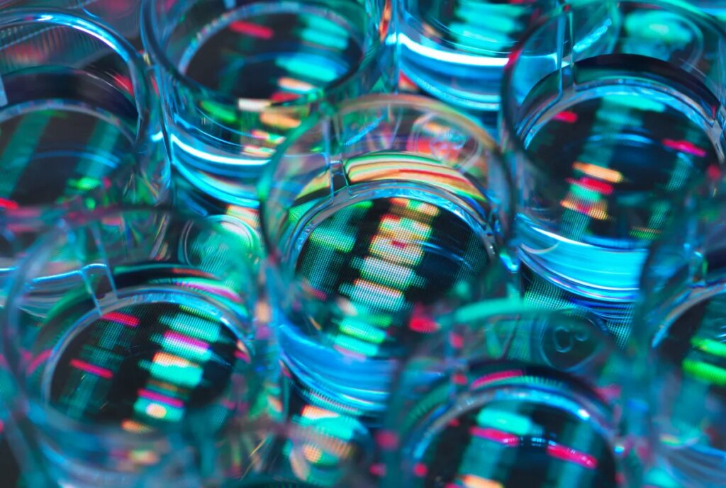 OpenAI-backed biotech company Chai Discovery raises $130 million Series B at $1.3 billion valuation