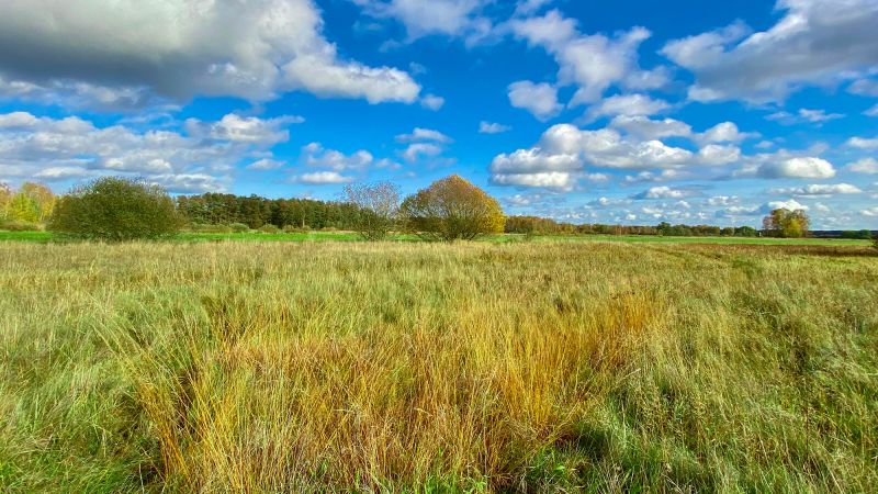 A day on the Death Strip: How a symbol of communist paranoia became a wild paradise