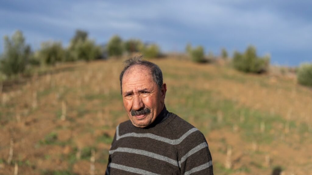 Morocco wants to promote legal cannabis cultivation