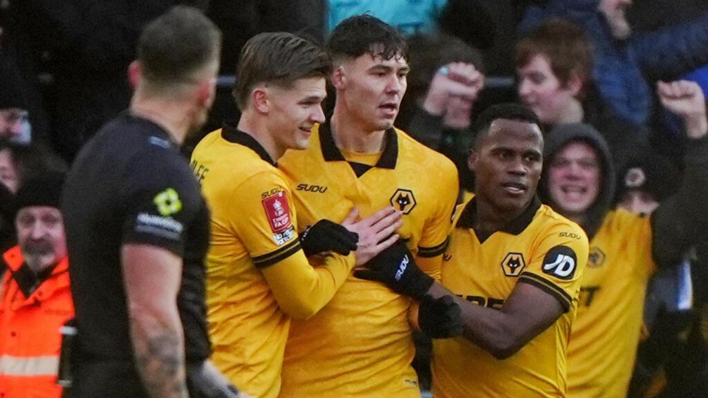 Wolves 6-1 Shrewsbury