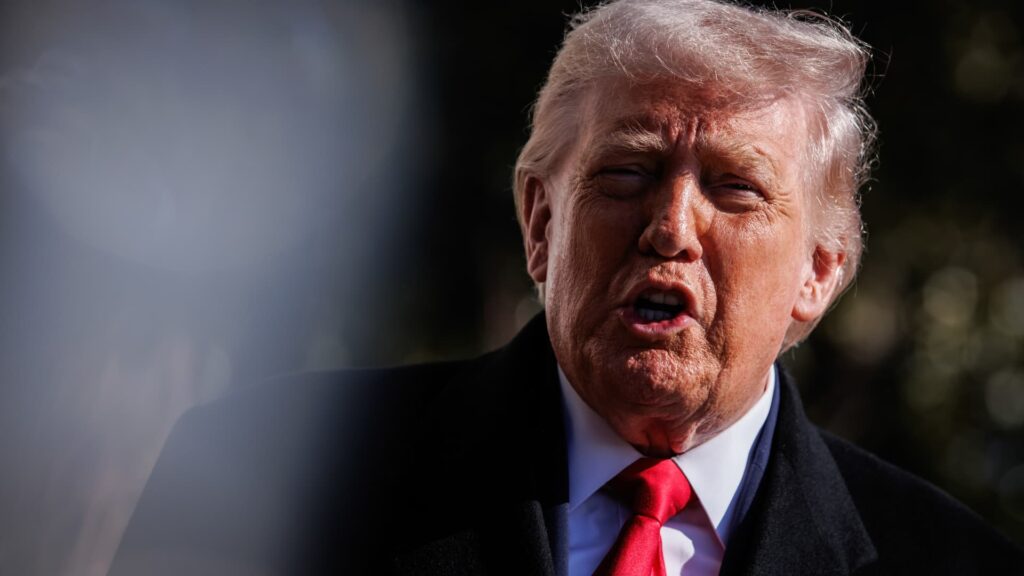 President Trump says he will issue an executive order on voter ID before the midterm elections