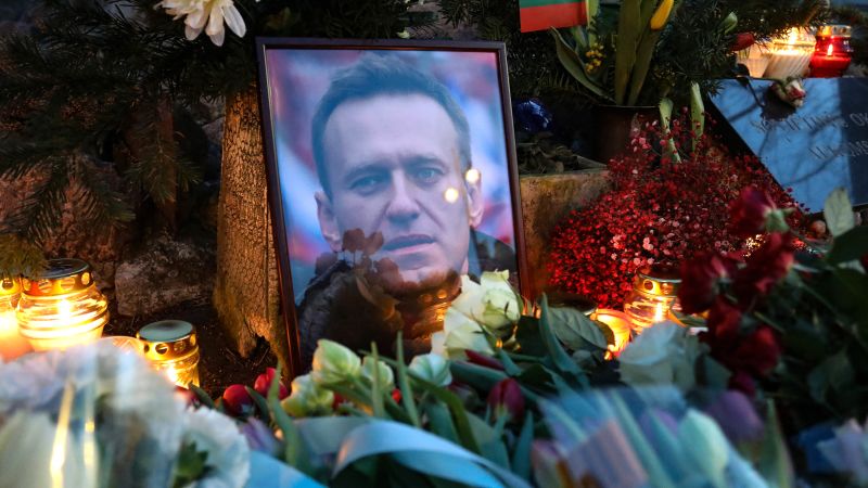 Alexei Navalny: Russian opposition leader killed by toxin found in poison dart frog, European says