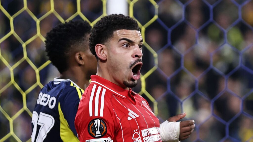 Fenerbahce 0 – 3 N Forest