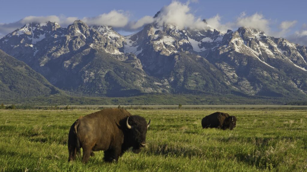 Congress and retailers want to rebuild national parks. Road tolls may be payable