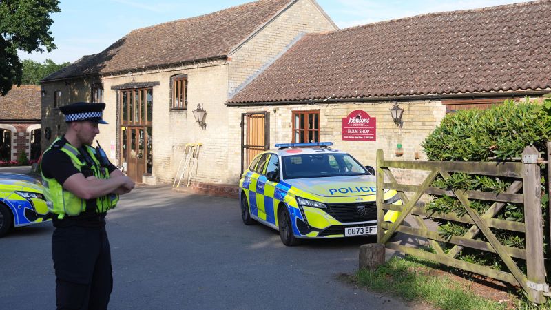 Man arrested after 3-year-old boy trapped in crocodile enclosure at zoo in UK