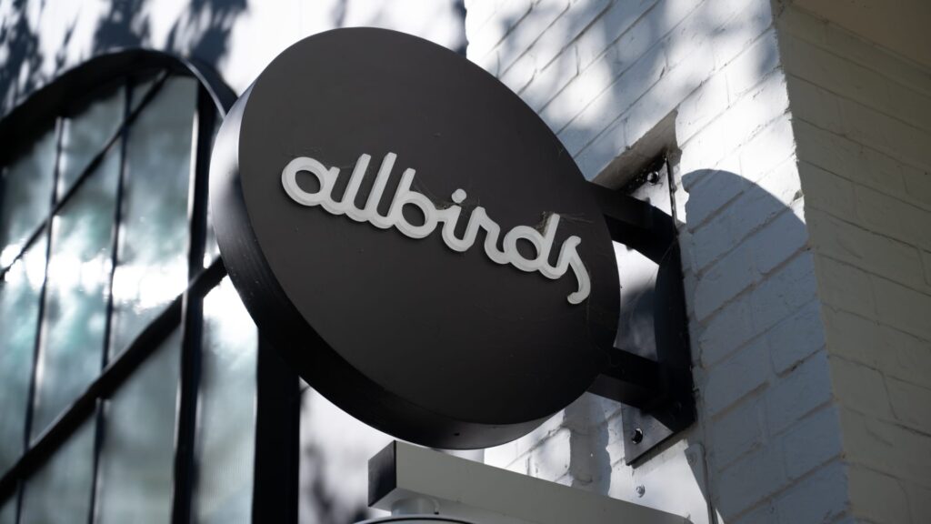 Allbirds stock price soars after company name change and CEO hire in AI Pivot