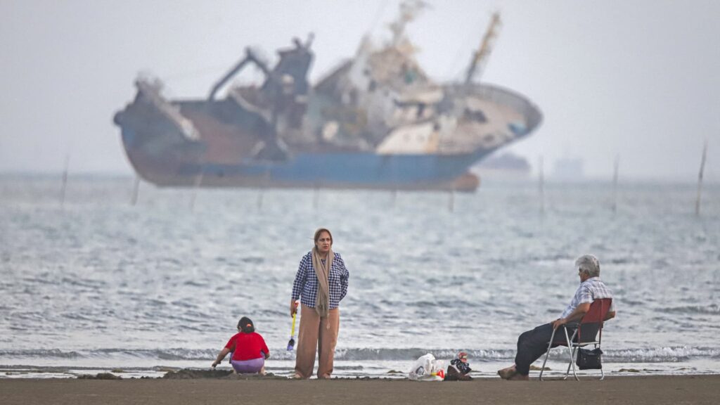 How the Strait of Hormuz conflict has turned the energy security debate on its head