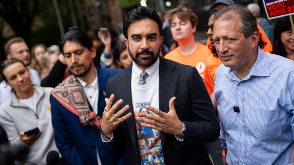 New York Democratic Party backed by Mamdani wins House primary