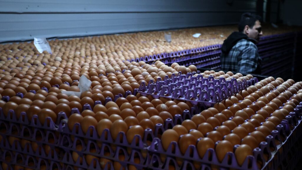 Egg producers settle with Justice Department over price inflation probe