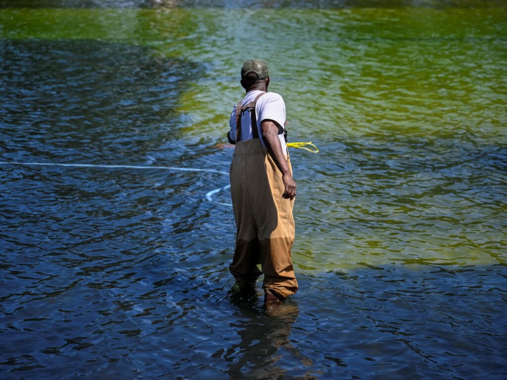 Why Washington’s reflecting pool went from ‘US Blue’ to algae green | Donald Trump News