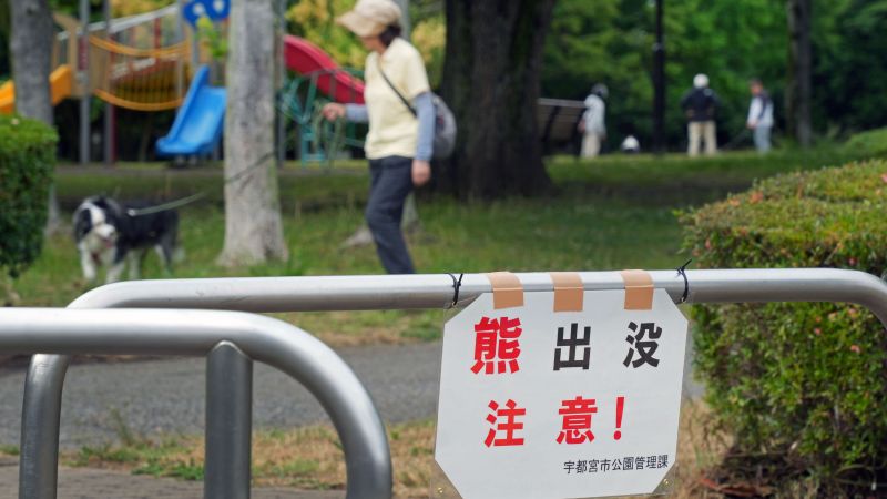 Nearly 100 schools closed in Utsunomiya, Japan as attacks continue after bear sightings