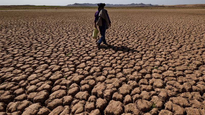 Morocco’s desalination strategy: a blueprint for Africa?