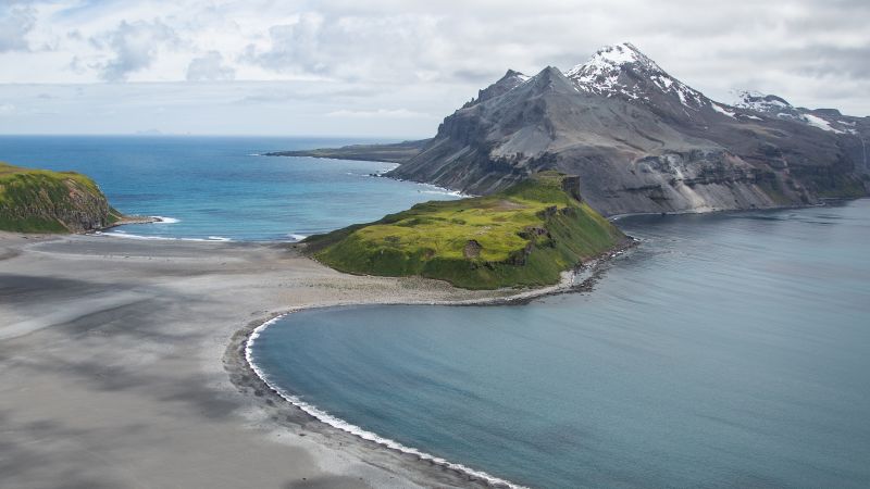 Thousands of baby seals have died on two remote subantarctic islands. Scientists now think they know why