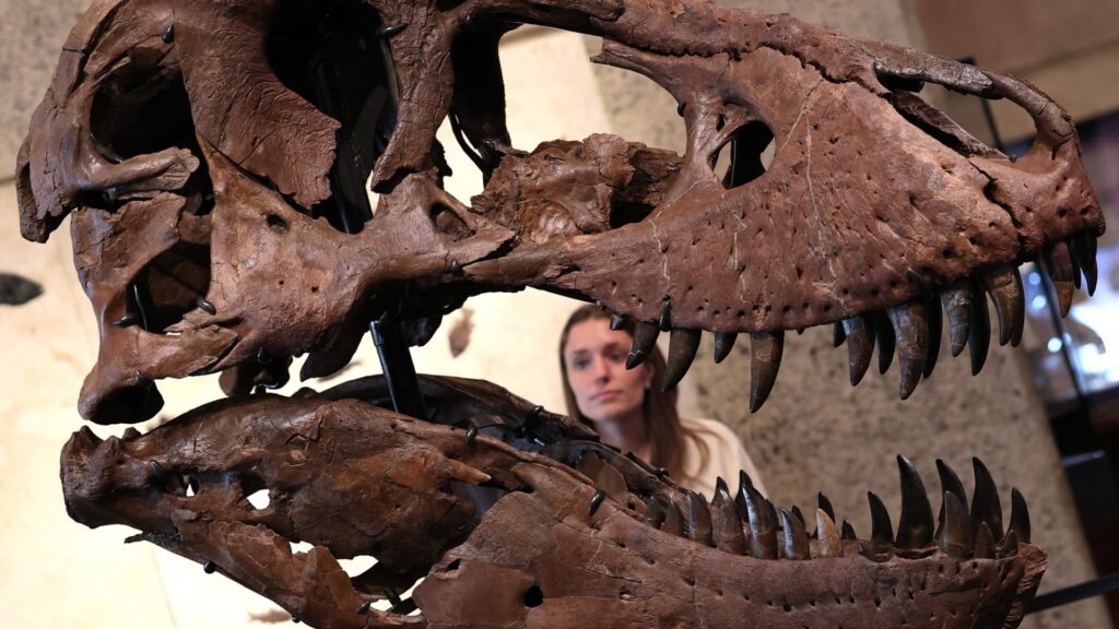 Tech wealth fuels record prices for dinosaur bones, art and watches: experts