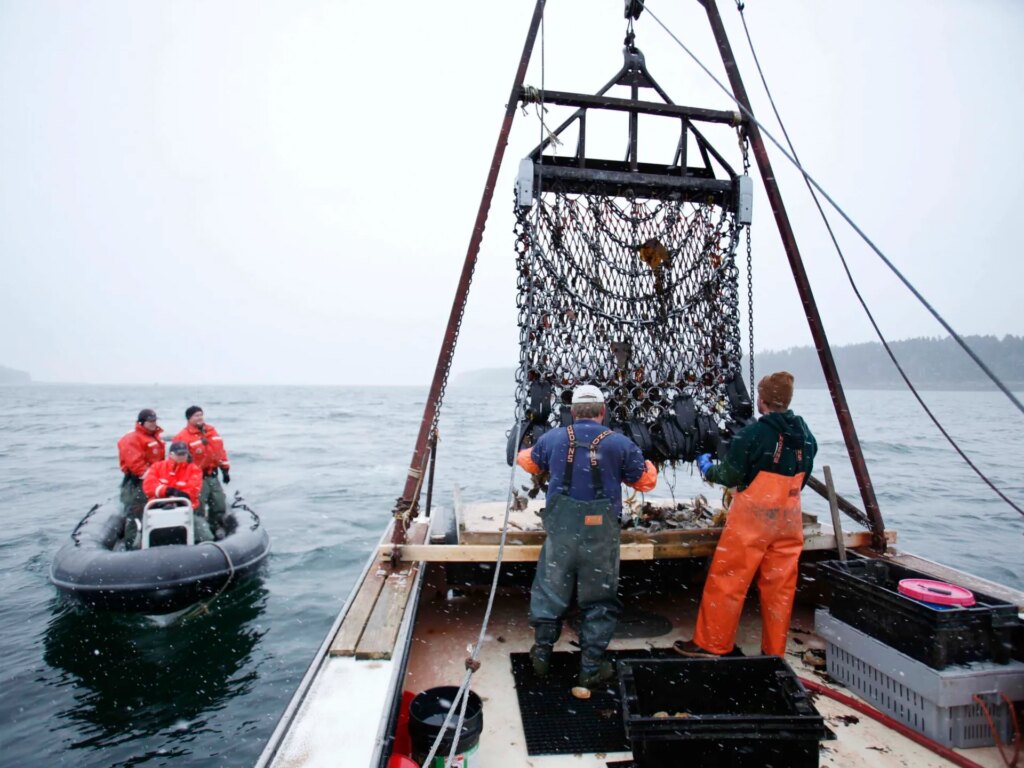 Trump administration aims to reduce regulations on U.S. commercial fishing | Donald Trump News