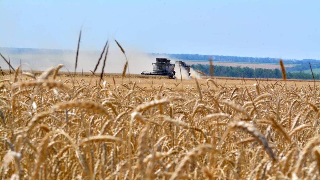 Corn and wheat prices soar to the highest in more than three years