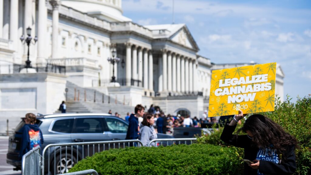 Cannabis reform emerges as an issue in midterm elections