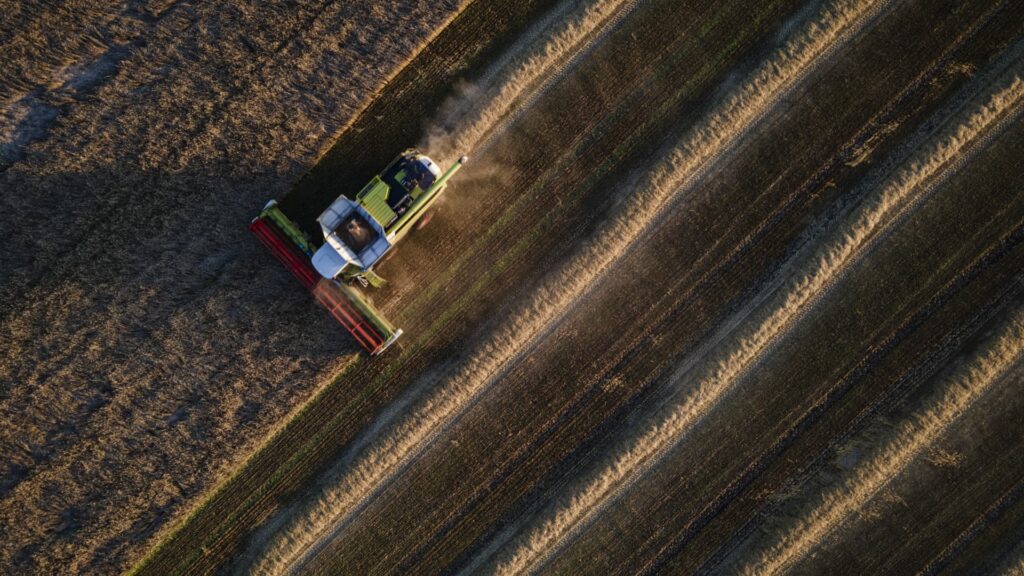 Rising grain prices create a ‘perfect storm’ for global food supply