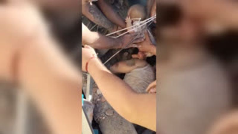 Colombia earthquake: Race to rescue mother of 3-month-old infant from rubble of collapsed building