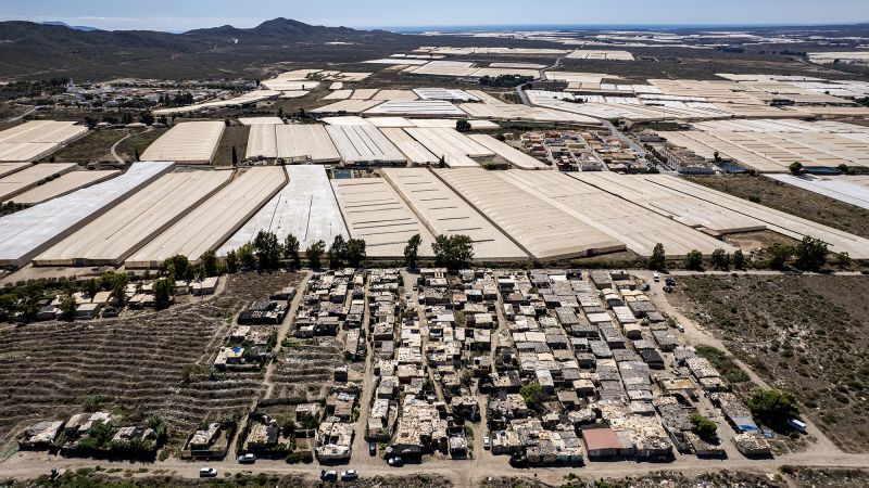 Migrant workers in Spanish greenhouses talk about low wages and hardships