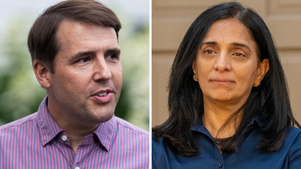 New Hampshire to vote in primary to secure key Senate seats