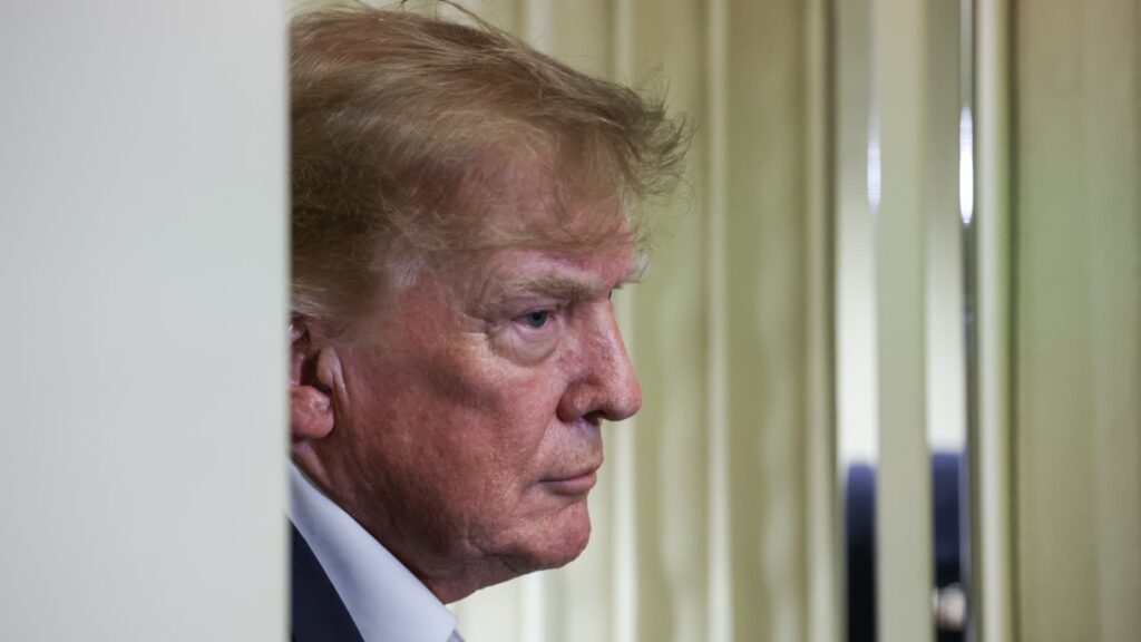 President Trump urges Ukraine to stop attacking Russian refineries due to diesel fuel surge