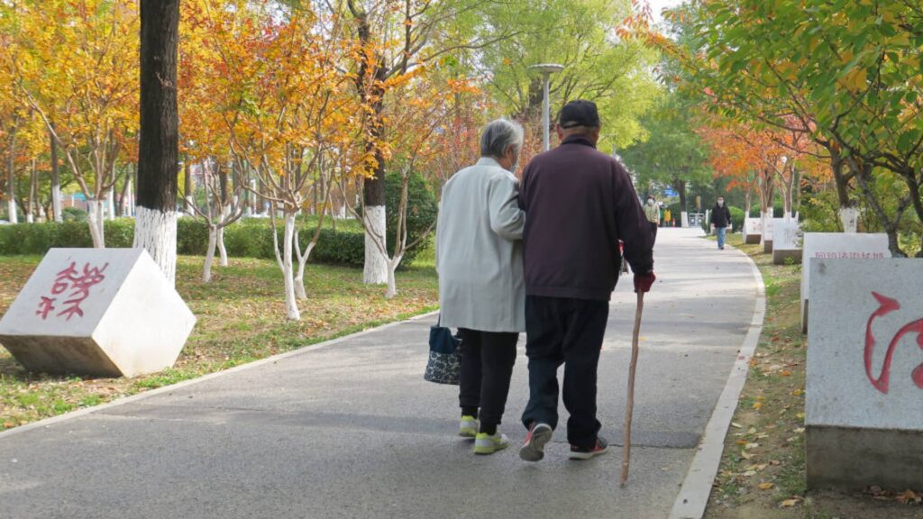 2029 tipping point: Western countries’ aging populations likely to strain public finances