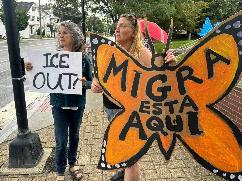 ICE tactics spark debate ahead of critical US midterm elections | Donald Trump News