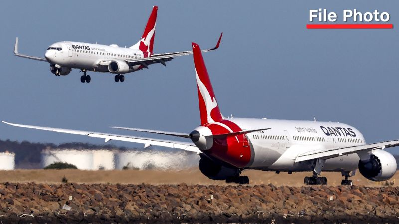 Qantas airliner grounded after reports of bed bugs